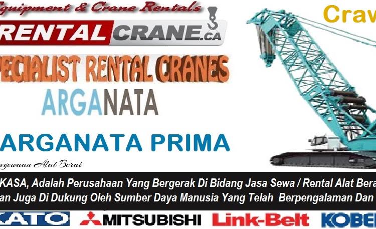 Rental Crawer Crane