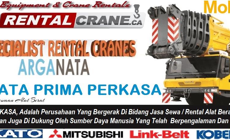 Rental Mobile Crane