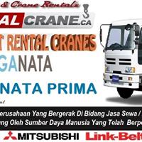 Rental Truck Crane