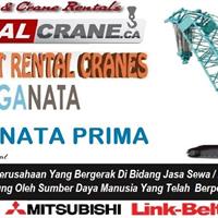 Rental Crawer Crane