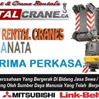 Rental Mobile Crane