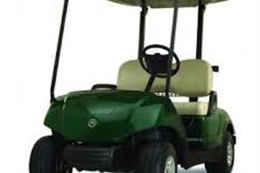 Suplleir Golf Car Electric