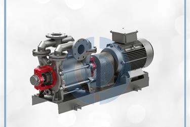 Speck-Pumpen Centrifugal Pump Type VU Series - Duta Perkasa