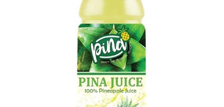 Juice Pineapple (Minuman Sari Buah Nanas)