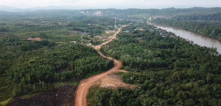 Jalan Perbatasan di Kalimantan hingga Papua Tambah 1.000 Km